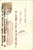 Szüreti mulatság 1904-ben