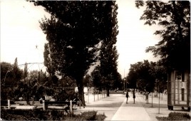 BEREKFÜRDŐ Fürdő parkja