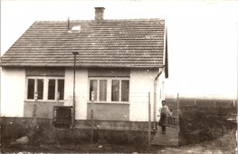 Függöny az ablakon