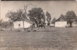 Karcagi tanya