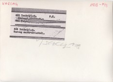 Karcag madártávlatból 1.0