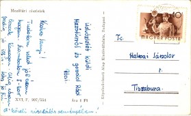 Mezőtúri részletek
