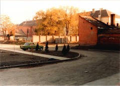 Örökzöldek