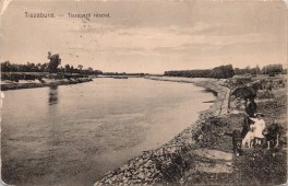 Tiszabura. - Tiszaparti részlet.