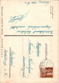 Délibáb a karcagi pusztán.