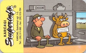 Szuperinfó - kártyanaptár 1995
