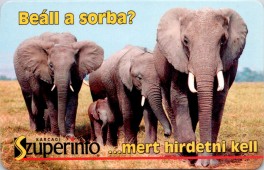Szuperinfó - kártyanaptár 2004