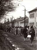 1965 - felvonulás - 05