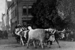 1958 - szüreti felvonulás - 07