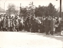 Koszorúzás