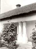 Karcagi parasztház