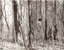 Városi tájfutó bajnokság 1980 - 03
