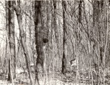 Városi tájfutó bajnokság 1980 - 08
