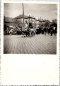Csacsifogat