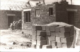 Szilikát