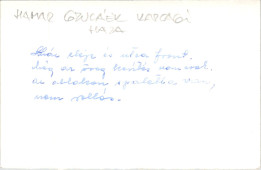 A Hamar-féle ház