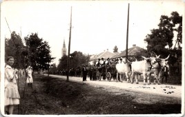 Szüreti felvonulás - Karcag