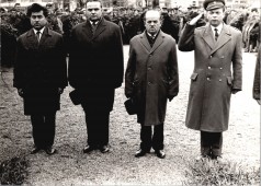 Koszorúzás