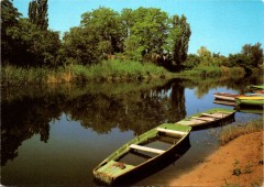 Berekfürdő