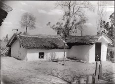 Csőszkunyhó az Északi temetőnél