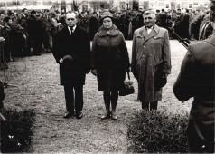 Koszorúzás
