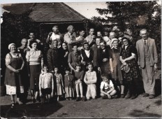 A tavalyi bor