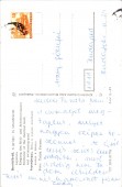 Berekfürdő. A gyógy- és strandfürdő
