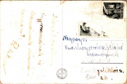 Kúnmadaras