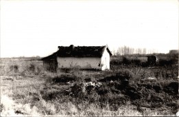 Magában áll