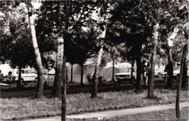 Berekfürdő. Camping