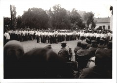Igazodás