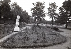 Korsós lány