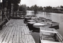 Kikötő