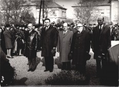 Koszorúzás