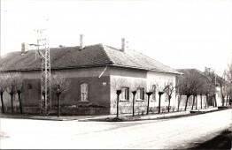 Vizesedő falak
