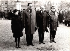 Koszorúzás