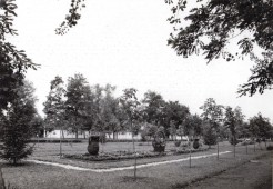 Park facsemetékkel