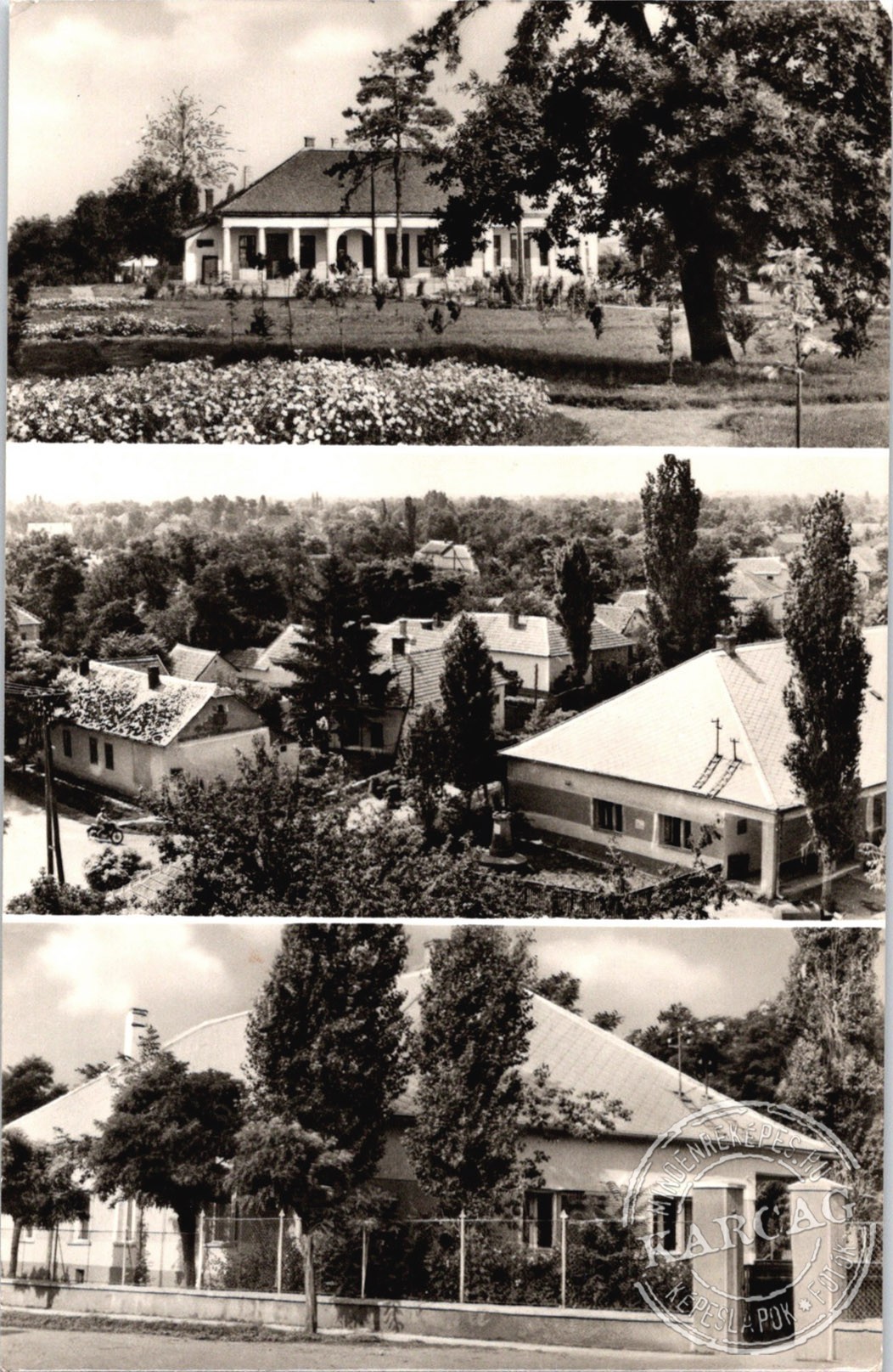 TISZABURA - részletek
