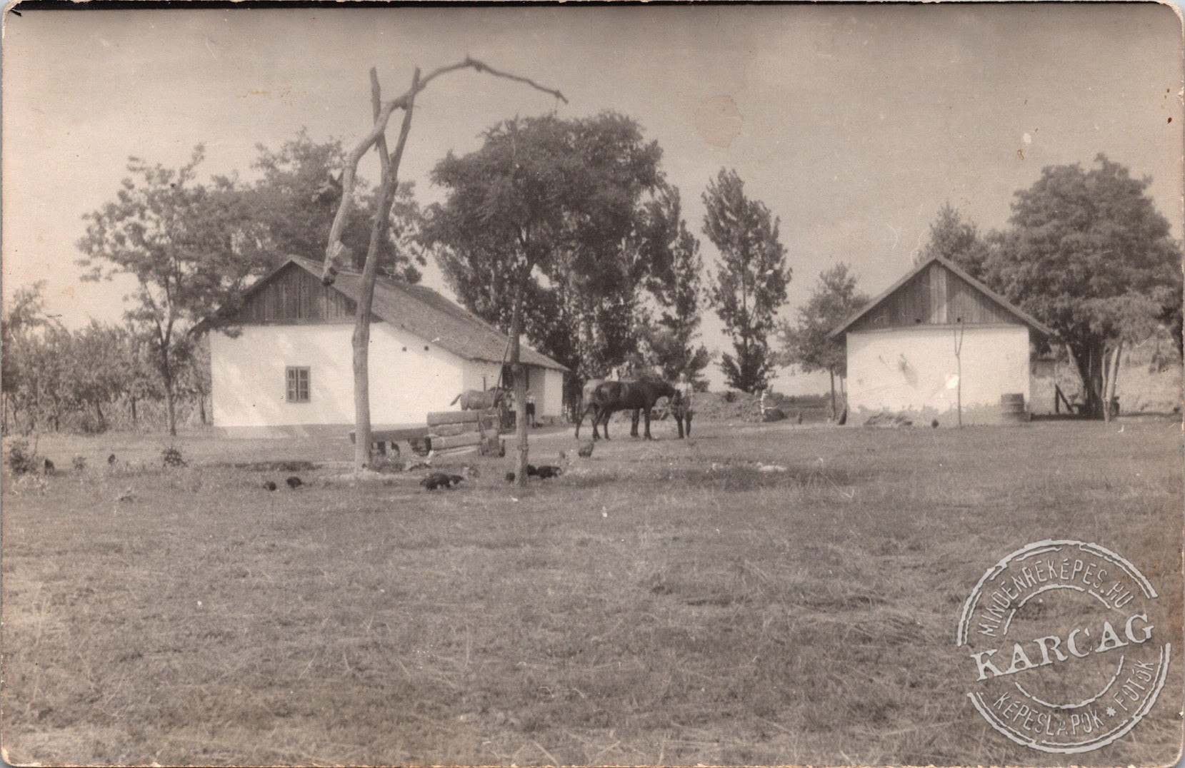 Karcagi tanya