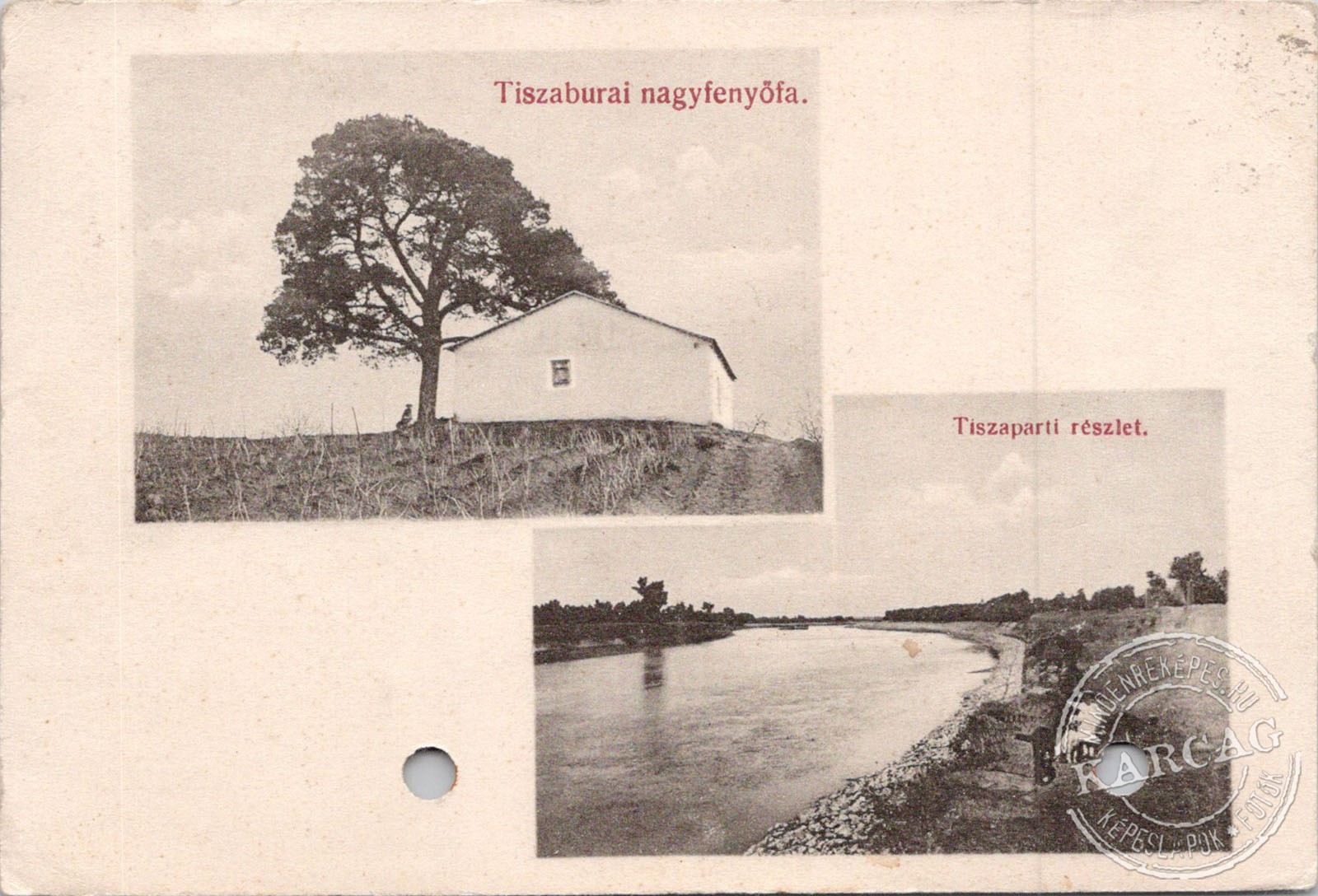 Tiszaburai mozaik