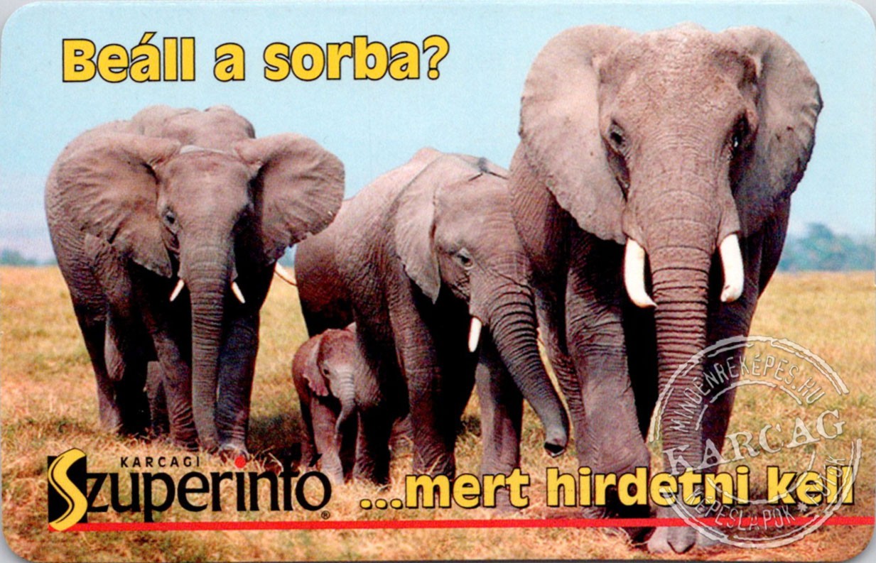 Szuperinfó - kártyanaptár 2004