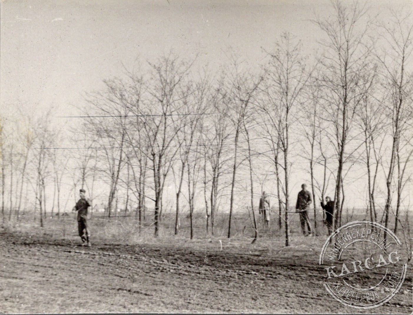 Pocokirtás: terepszemle