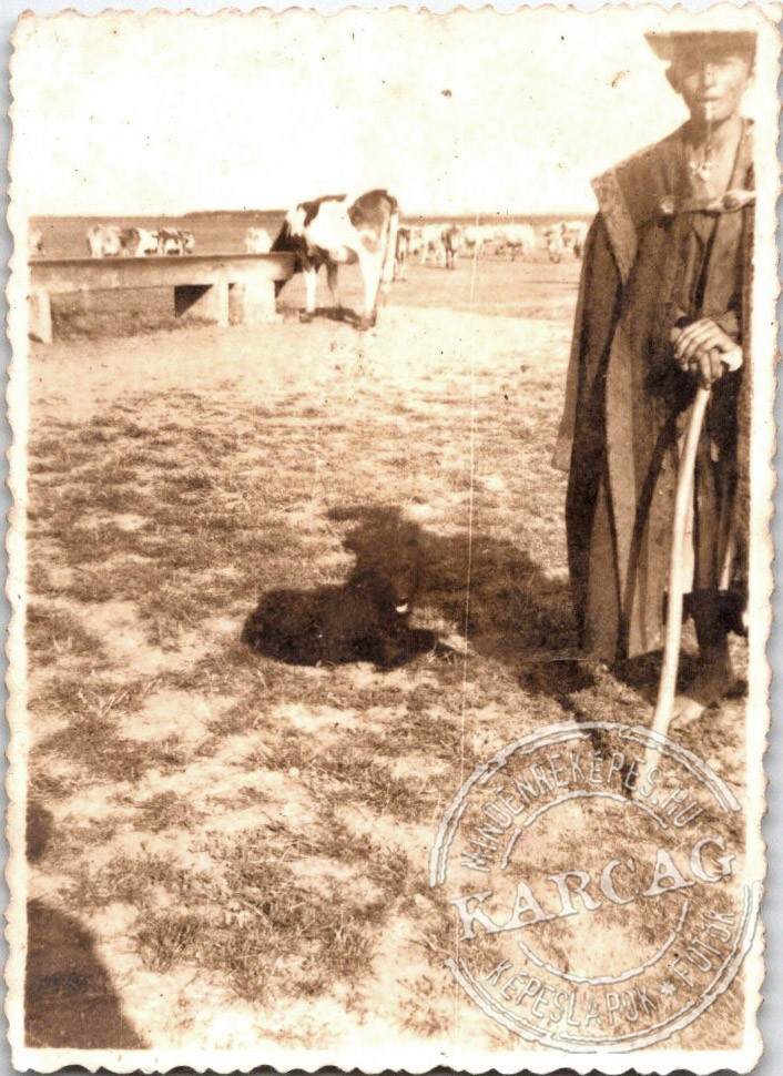 Pásztorélet
