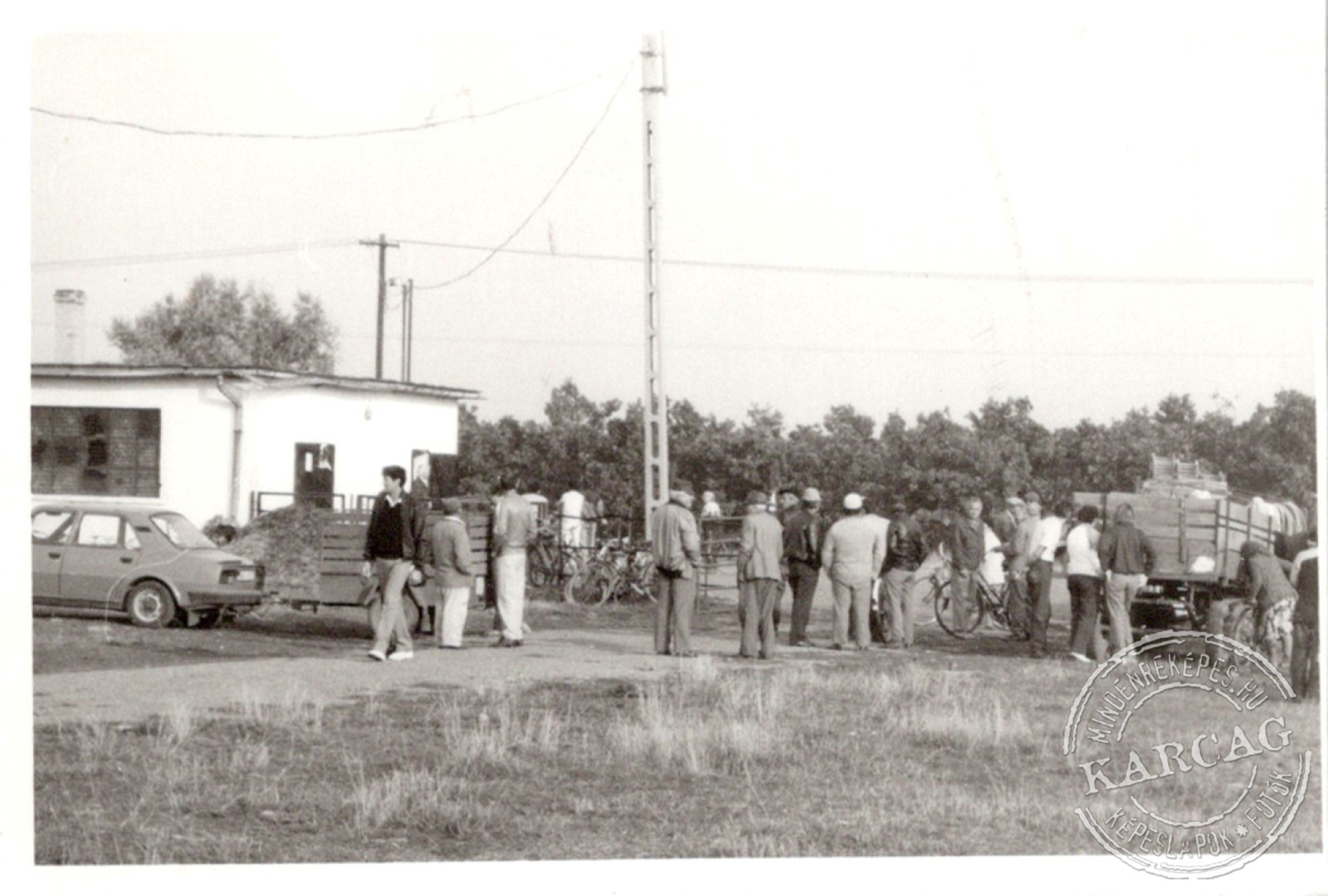 Állatvásártér 01.