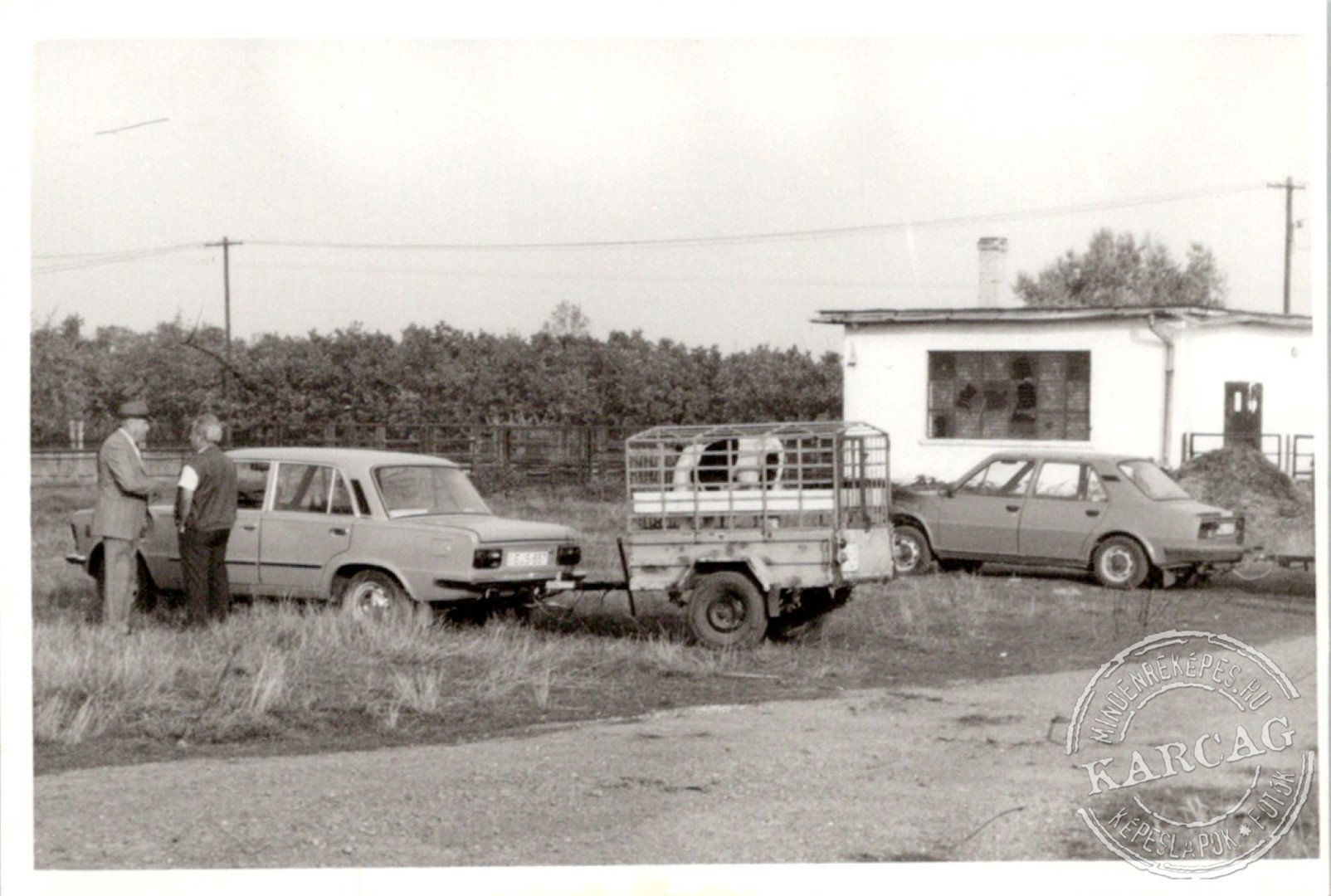 Állatvásártér 02.
