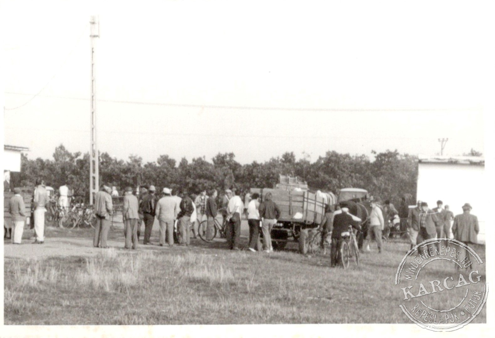 Állatvásártér 03.