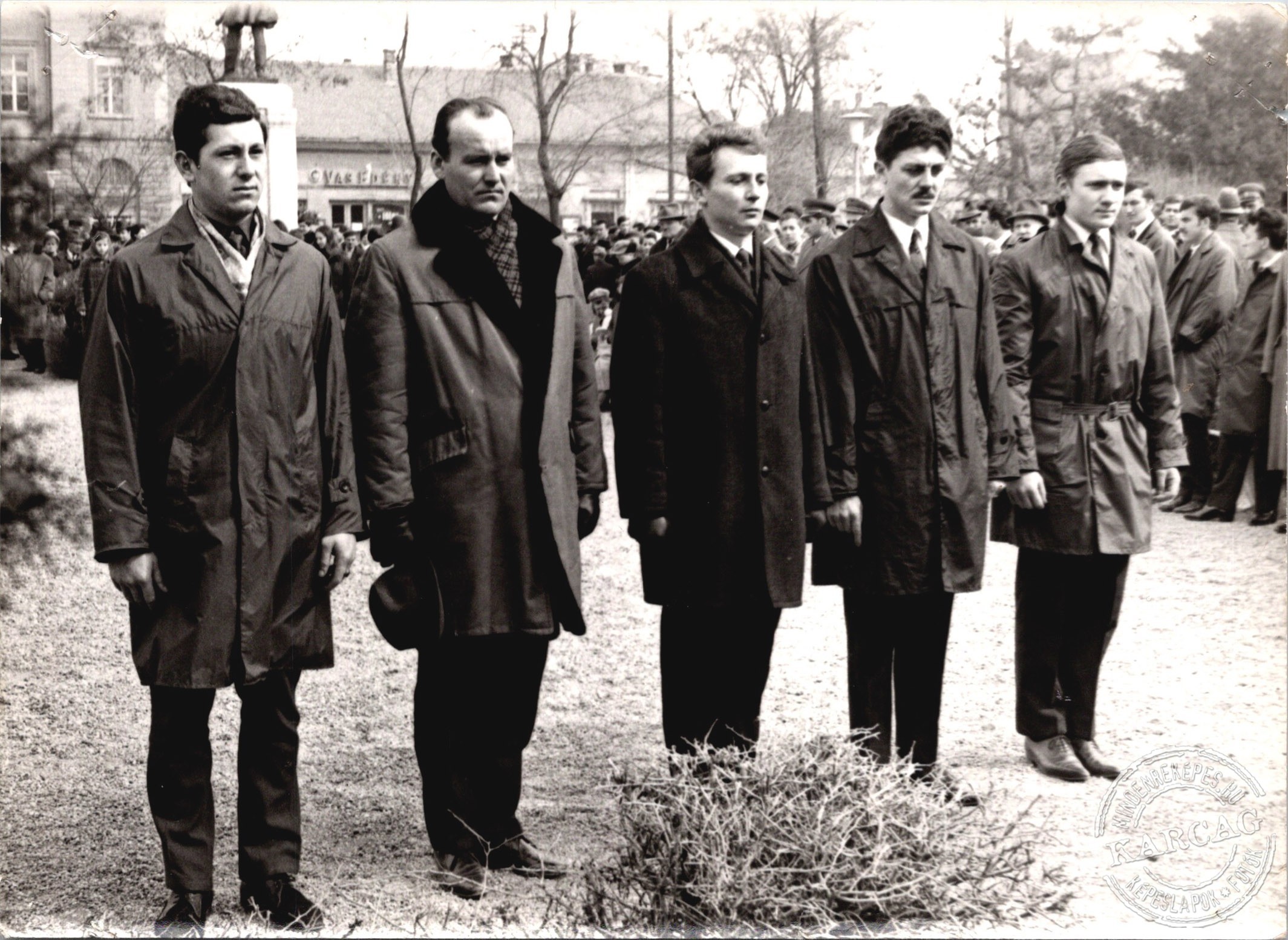 Koszorúzás