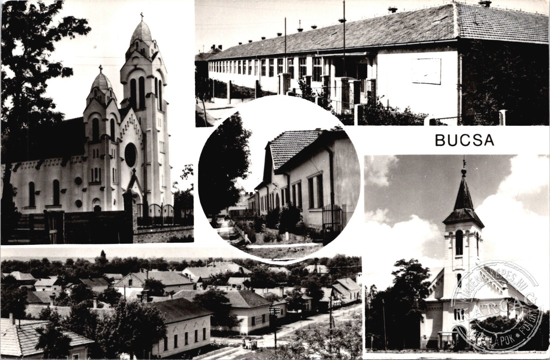 Bucsa
