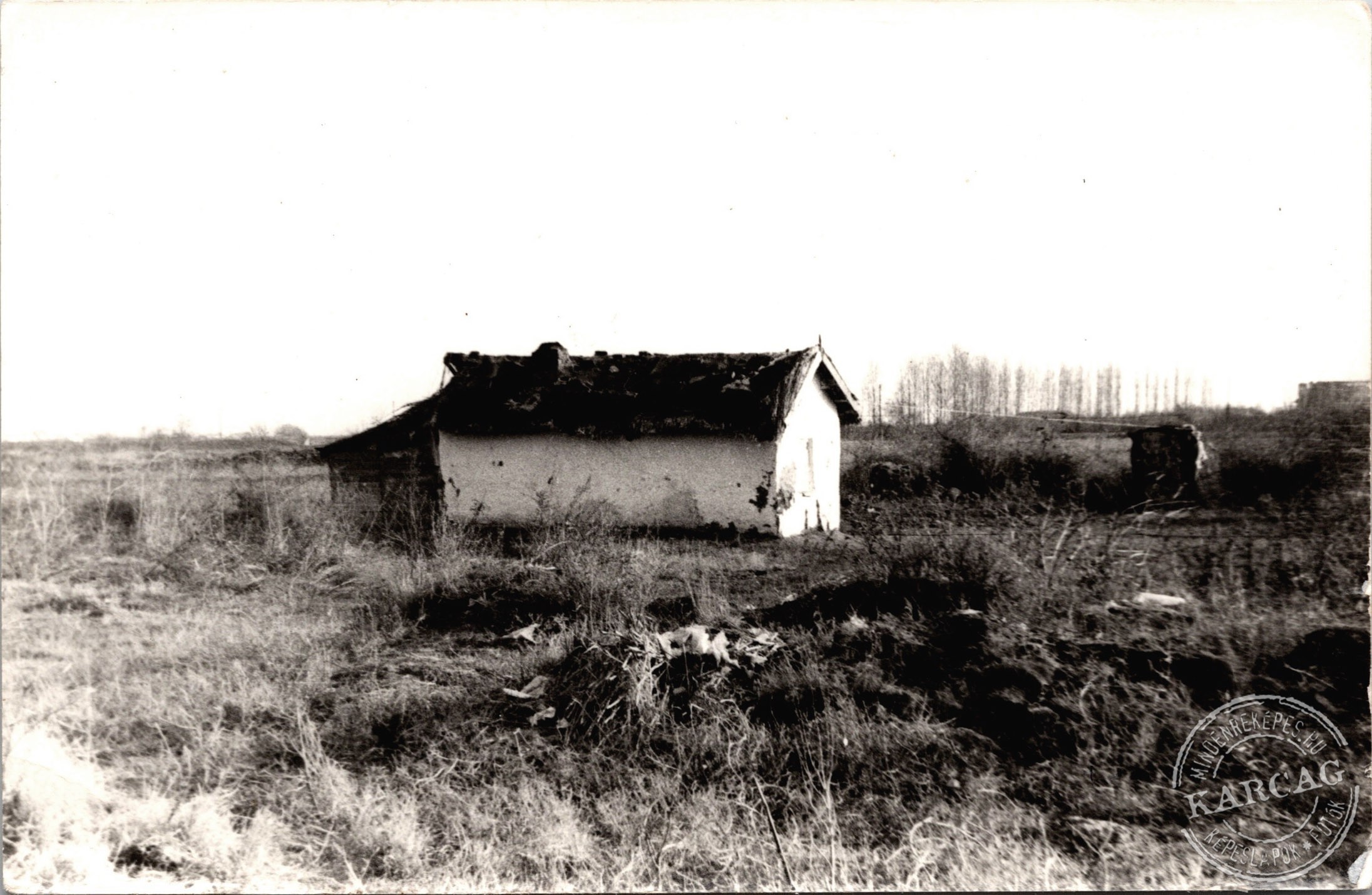 Magában áll