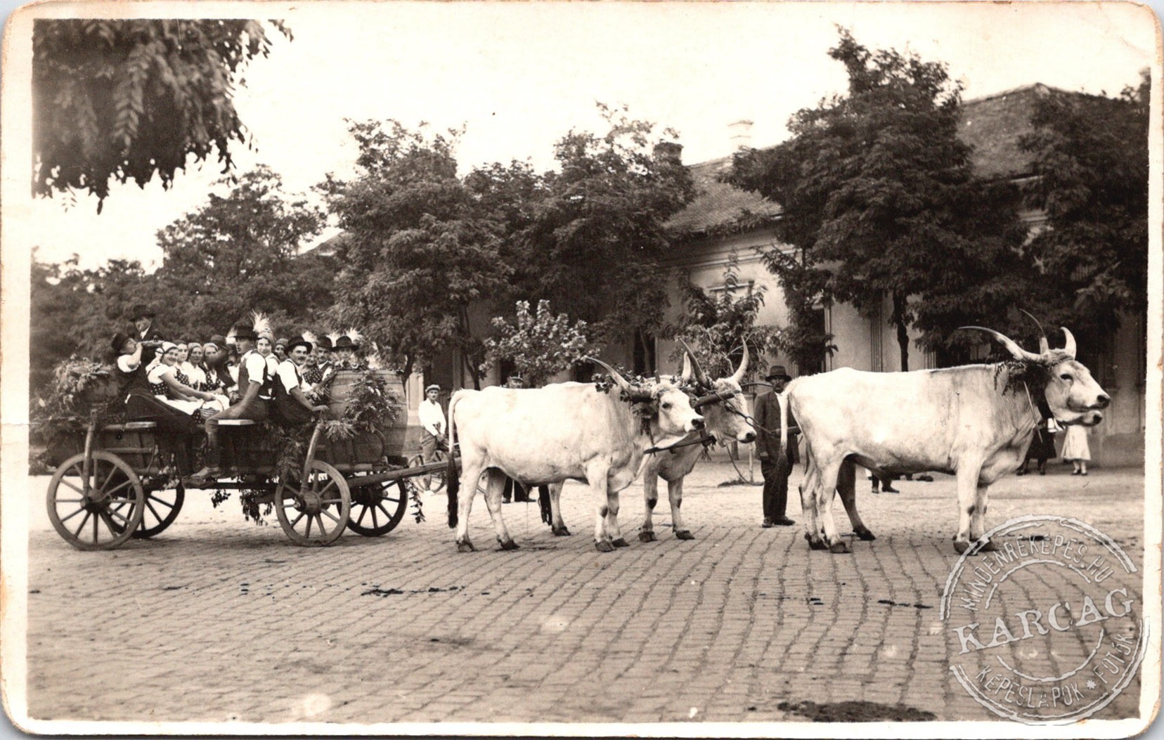 Szüreti felvonulás - Karcag